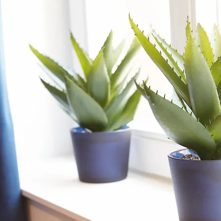 Διαμέρισμα Niederhut-residenz *