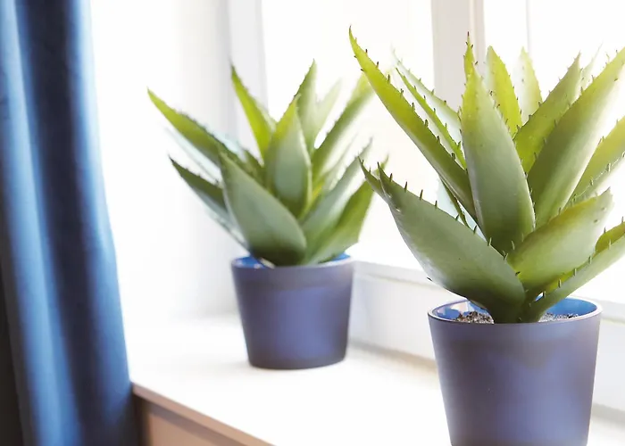 Apartamento Niederhut-residenz *